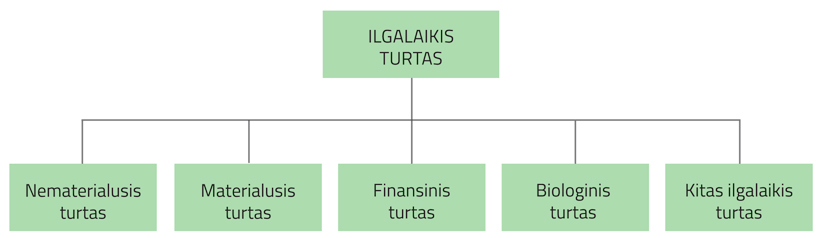 schema