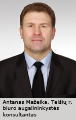Web-Mazeika