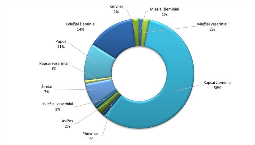 Web-pav14