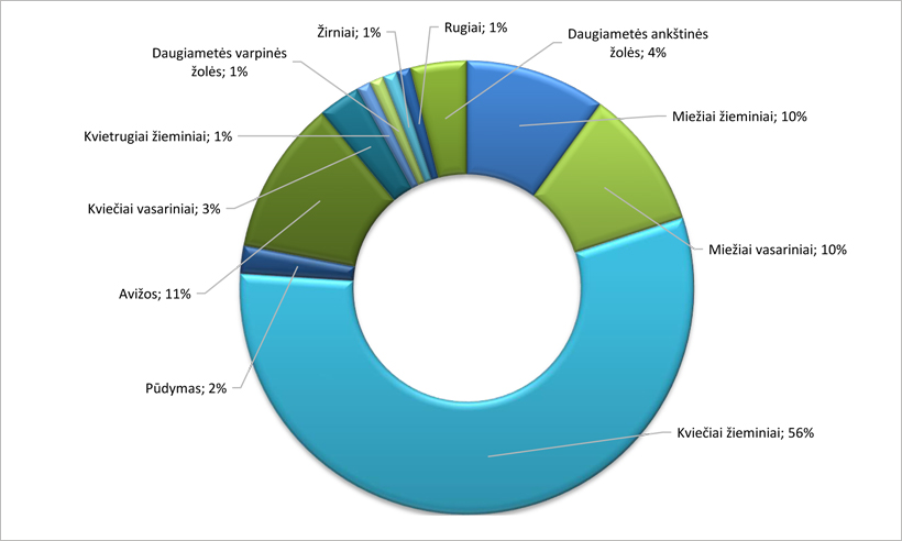 Web-pav15