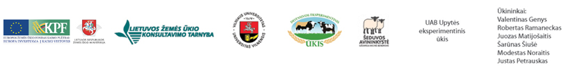 Web-logo