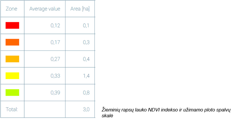 WEb-pav4