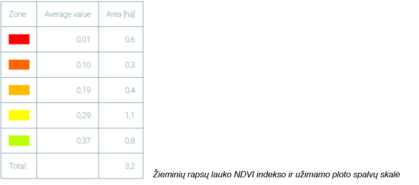 Web-pav4