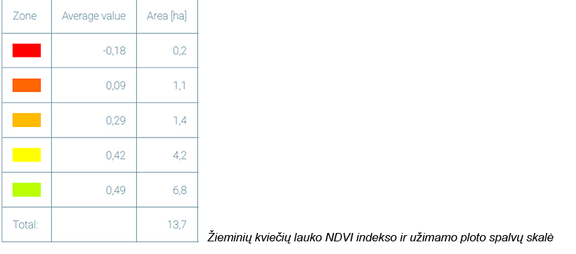 Web-pav7