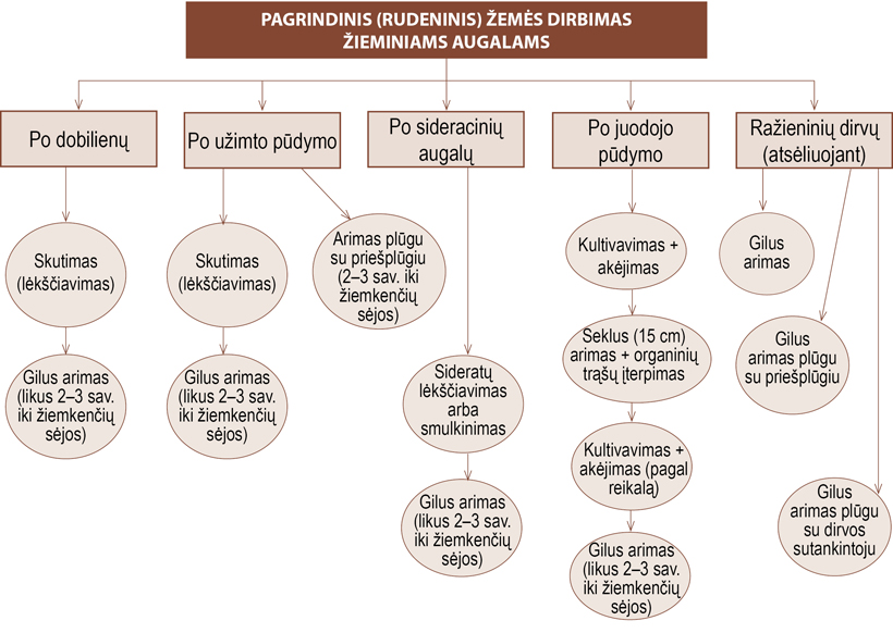 Web-pav1-1
