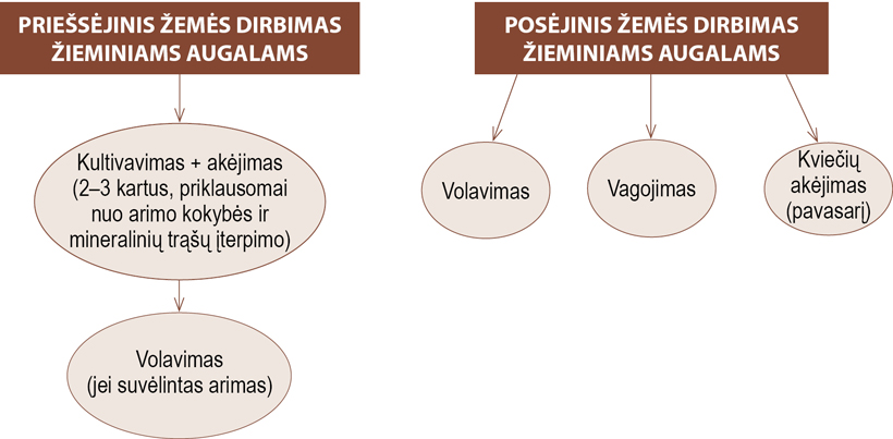 Web-pav2