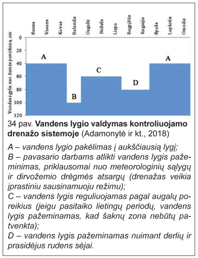 Web-pav2