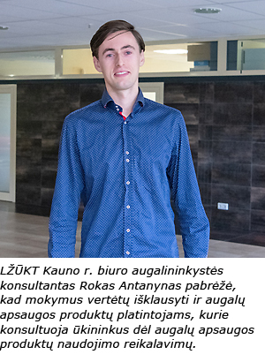 Web-pav2