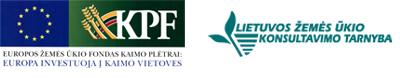Web-logo