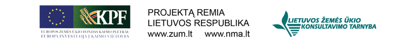 i straipsni