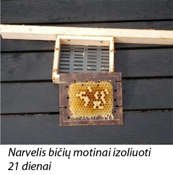 Web-maza350-naujo