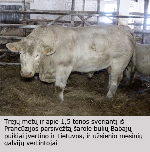 Web-pav3
