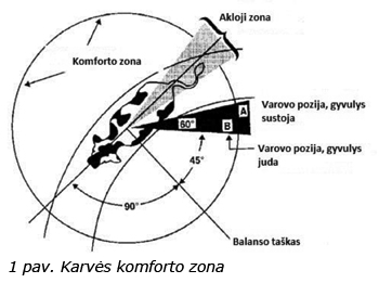 Web-pav1-mazas