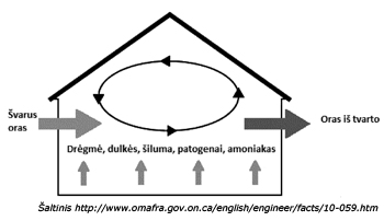 Web-schema