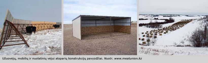 Web-trys-nuot--pav2