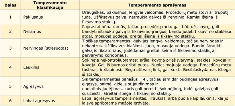Web-lentele1