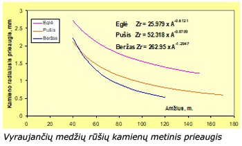 Web-Pav1