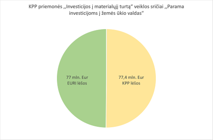 Vidus