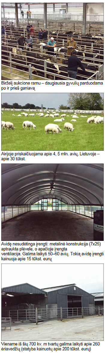 Smaragdineje-saloje1-3