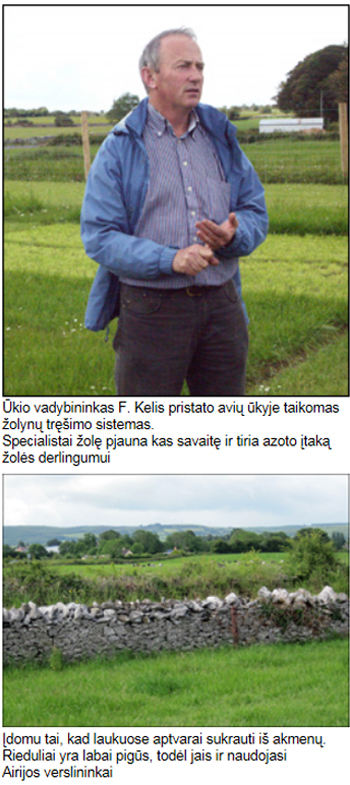 Smaragdineje-saloje1-4
