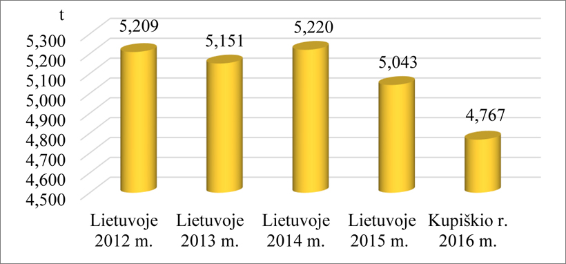 Web-pav2-Kupis