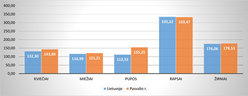 Web-pav2