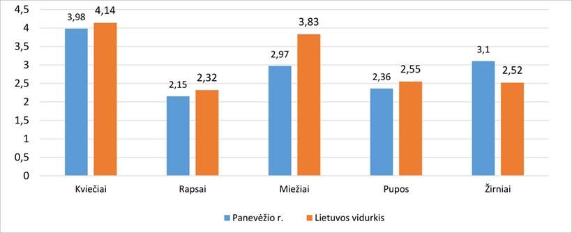Web-pav7