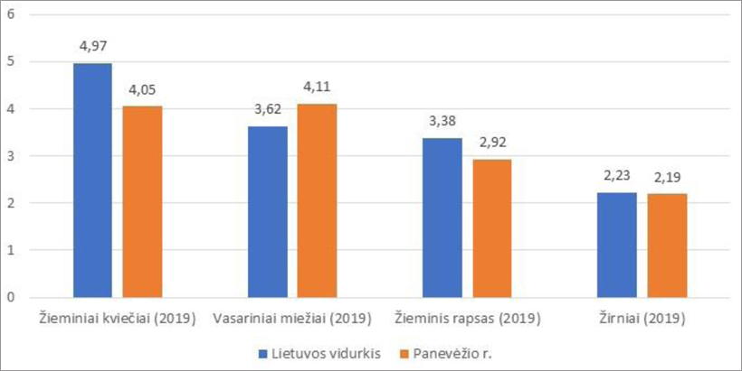Web-pav1