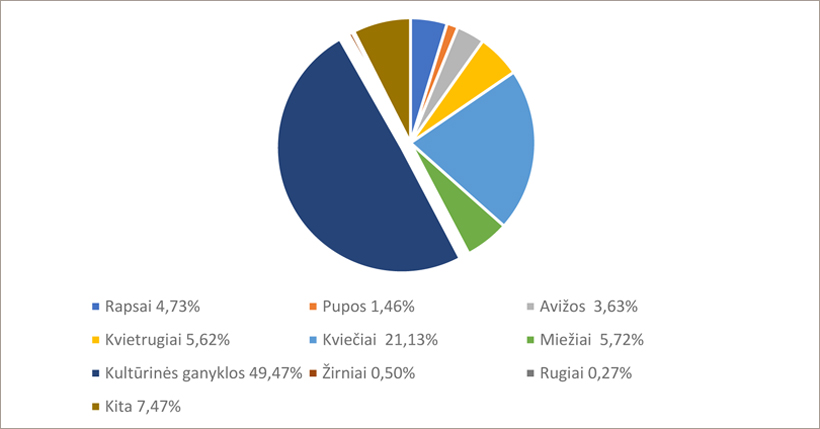 Web-grafikas1