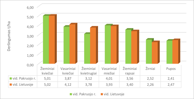 Web-pav1