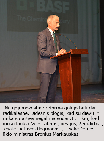 Web-Markauskas