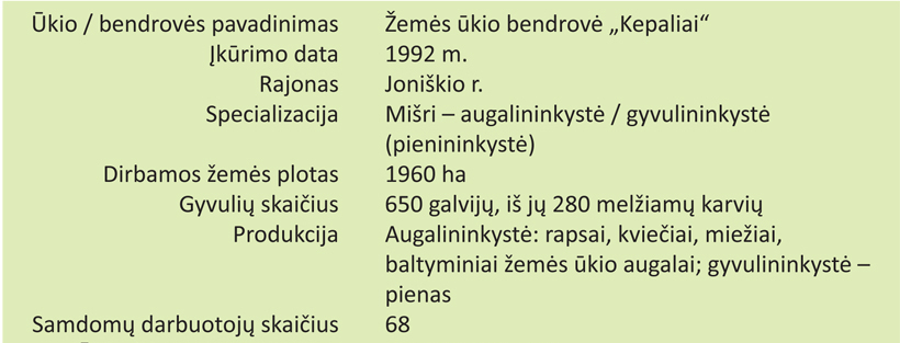 Web-vizitine-be-vadovo