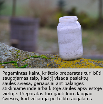 Web-pav9