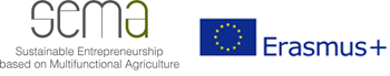 Web-logo