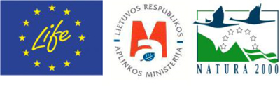 Web-logo