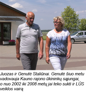 Web-Staliunai