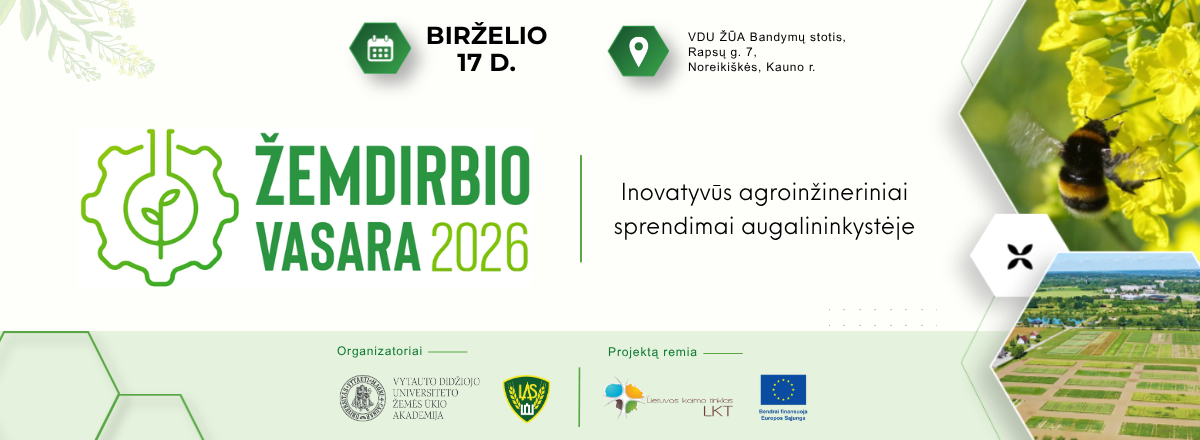 Žemdirbio vasara