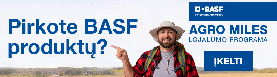 BASF. Havas Media. Straipsnių vidus