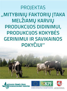 Mitybiniai faktoriai