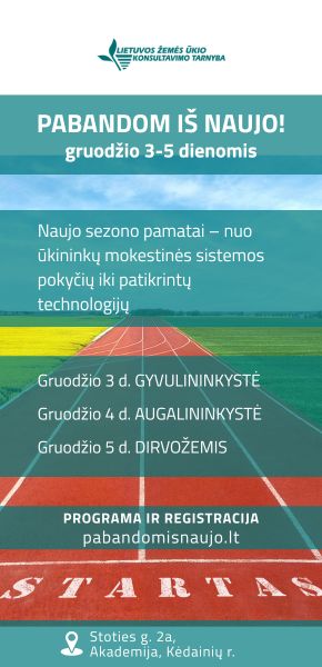 Pabandom iš naujo. Dešinė NE antra pusė