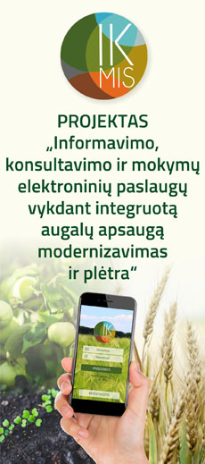 Imkis Projektas ne tituliniame