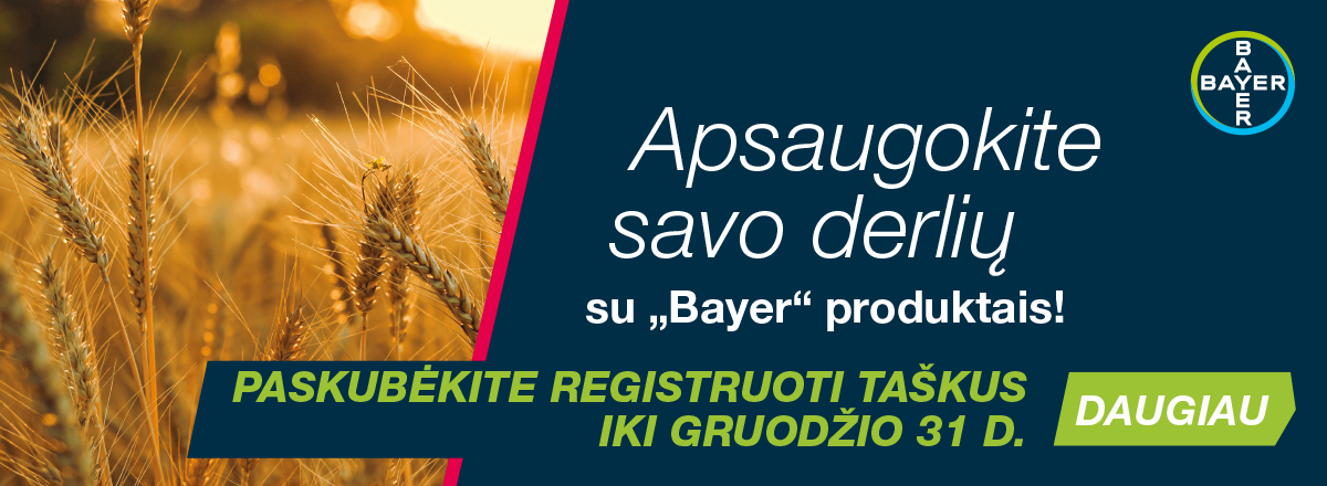 Mediacom. Bayer horizontalus