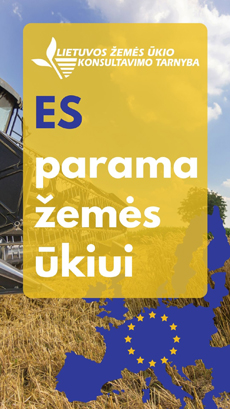 ES paramos rubrikų puslapiams