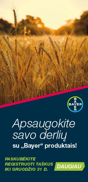 Mediacom. Bayer vertikalus