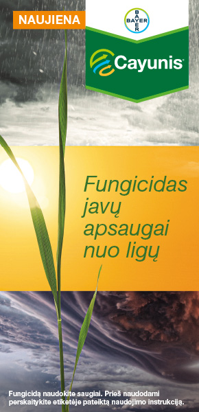BAYER 5 rotuojami