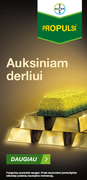 Mediacom. Bayer vertikalus