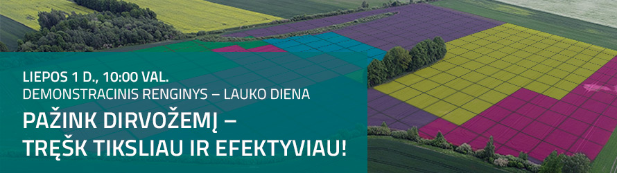 Žemdirbio vasara. Mažas